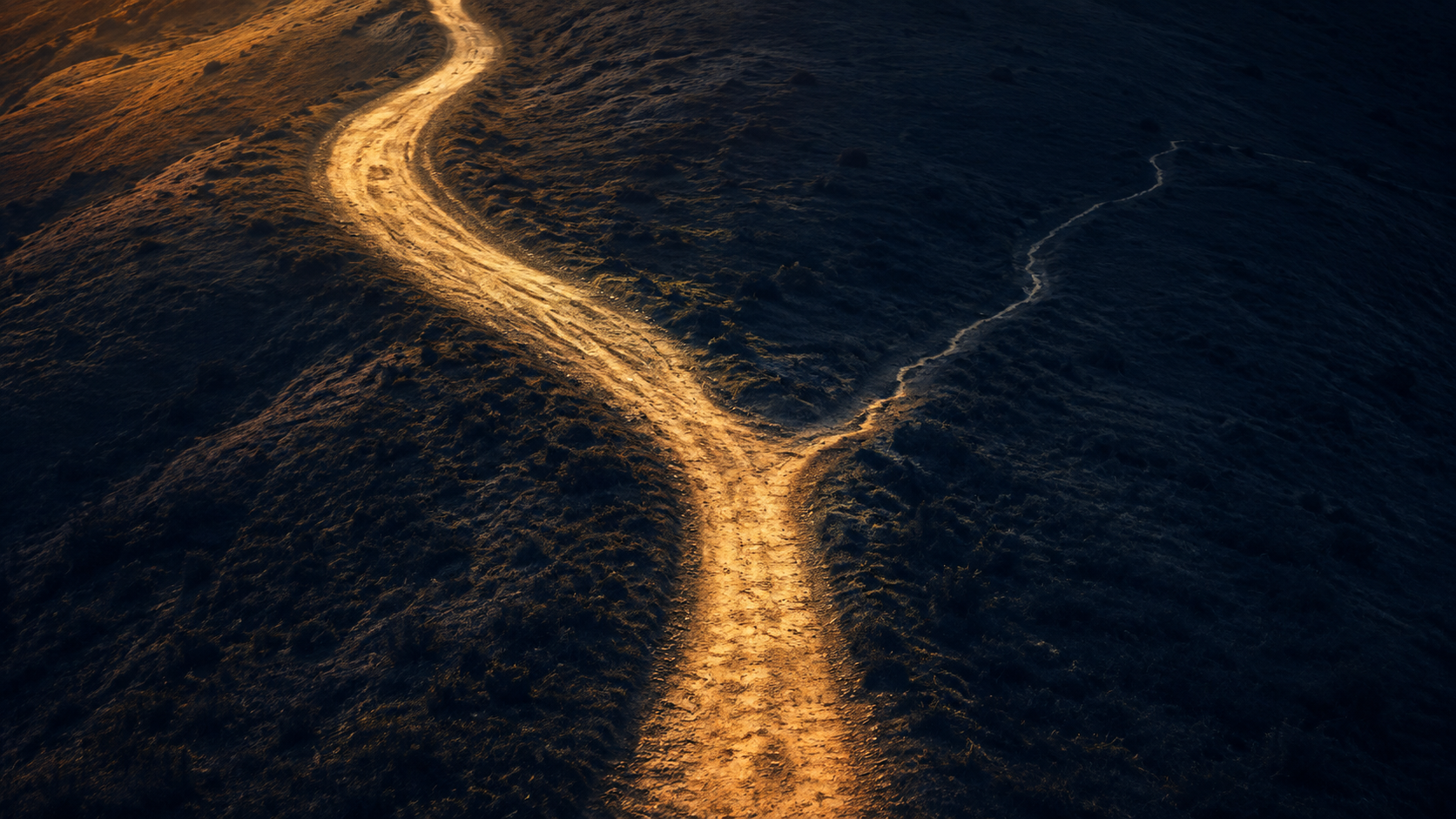 A winding hillside path splits into two trails: a wide, well-worn trail illuminated by warm golden light and a narrow, less-traveled trail extending into deep navy shadows. No people or text are visible.